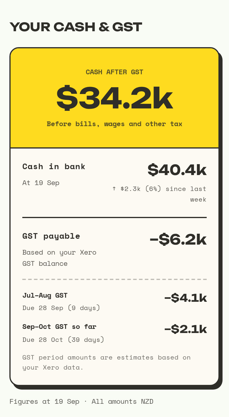 Get Amongst cash and GST report for a fictional New Zealand business